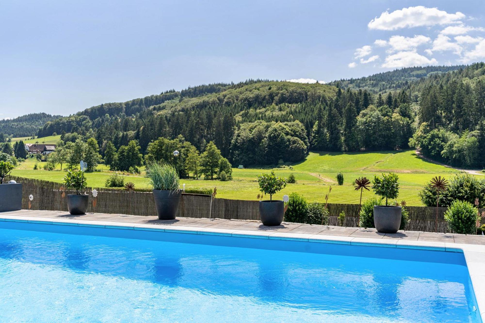 Ferienwohnung Geisbergblick Seelbach  Dış mekan fotoğraf